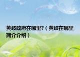 黄岐政府在哪里?（黄岐在哪里简介介绍）