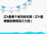 辽h是哪个城市的车牌（辽H是哪里的牌照简介介绍）