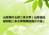山东有什么好二本大学（山东省比较好的二本大学有哪些简介介绍）