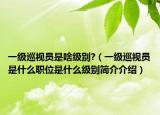 一级巡视员是啥级别?（一级巡视员是什么职位是什么级别简介介绍）