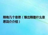 翔有几个意思（爆出翔是什么意思简介介绍）