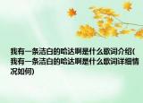 我有一条洁白的哈达啊是什么歌词介绍(我有一条洁白的哈达啊是什么歌词详细情况如何)