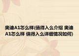 奥迪A1怎么样(值得入么介绍 奥迪A1怎么样 值得入么详细情况如何)