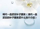 明代一品武官补子图案（清代一品武官的补子图案是什么简介介绍）