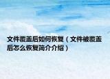 文件覆盖后如何恢复（文件被覆盖后怎么恢复简介介绍）