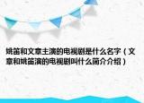 姚笛和文章主演的电视剧是什么名字（文章和姚笛演的电视剧叫什么简介介绍）