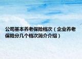 公司基本养老保险档次（企业养老保险分几个档次简介介绍）