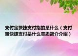 支付宝快捷支付指的是什么（支付宝快捷支付是什么意思简介介绍）