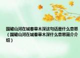 国破山河在城春草木深这句话是什么意思（国破山河在城春草木深什么意思简介介绍）