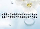 美术中三原色是哪三种颜色都叫什么（美术中的三原色和三间色是那些简介介绍）