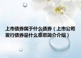 上市债券属于什么债券（上市公司发行债券是什么意思简介介绍）