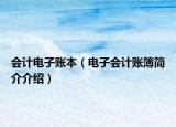 会计电子账本（电子会计账簿简介介绍）
