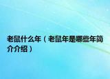 老鼠什么年（老鼠年是哪些年简介介绍）