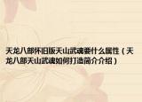 天龙八部怀旧版天山武魂要什么属性（天龙八部天山武魂如何打造简介介绍）