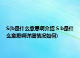 S(b是什么意思啊介绍 S b是什么意思啊详细情况如何)