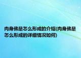 肉身佛是怎么形成的介绍(肉身佛是怎么形成的详细情况如何)