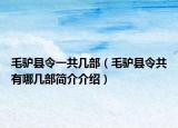 毛驴县令一共几部（毛驴县令共有哪几部简介介绍）