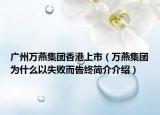 广州万燕集团香港上市（万燕集团为什么以失败而告终简介介绍）
