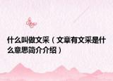 什么叫做文采（文章有文采是什么意思简介介绍）