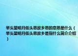 举头望明月低头思故乡思的意思是什么（举头望明月低头思故乡是指什么简介介绍）