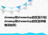 dressup和dressedup的区别介绍(dressup和dressedup的区别详细情况如何)