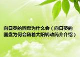向日葵的圆盘为什么会（向日葵的圆盘为何会随着太阳转动简介介绍）