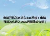 电脑开机怎么进入dos系统（电脑开机怎么进入DOS界面简介介绍）