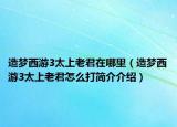 造梦西游3太上老君在哪里（造梦西游3太上老君怎么打简介介绍）