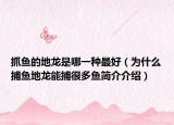 抓鱼的地龙是哪一种最好（为什么捕鱼地龙能捕很多鱼简介介绍）