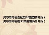 灵与肉电视连续剧46集剧情介绍（灵与肉电视剧33集剧情简介介绍）
