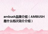 ambush品牌介绍（AMBUSH是什么档次简介介绍）