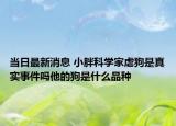 当日最新消息 小胖科学家虐狗是真实事件吗他的狗是什么品种