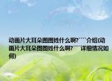 动画片大耳朵图图姓什么啊?````介绍(动画片大耳朵图图姓什么啊?````详细情况如何)