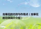 虫草花的功效与作用点（虫草花的功效简介介绍）