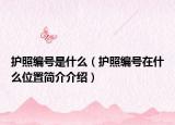 护照编号是什么（护照编号在什么位置简介介绍）