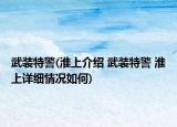 武装特警(淮上介绍 武装特警 淮上详细情况如何)