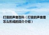 打雷的声音百科（打雷的声音是怎么形成的简介介绍）