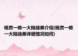 杨贯一唯一大陆徒弟介绍(杨贯一唯一大陆徒弟详细情况如何)