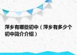 萍乡有哪些初中（萍乡有多少个初中简介介绍）