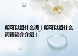 朗可以组什么词（朗可以组什么词语简介介绍）