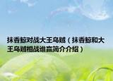 抹香鲸对战大王乌贼（抹香鲸和大王乌贼相战谁赢简介介绍）