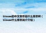 blouse的中文意思是什么意思啊（blouse什么意思简介介绍）