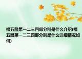 福五鼠第一二三四部分别是什么介绍(福五鼠第一二三四部分别是什么详细情况如何)