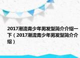 2017潮流青少年男发型简介介绍一下（2017潮流青少年男发型简介介绍）
