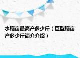 水稻亩最高产多少斤（巨型稻亩产多少斤简介介绍）
