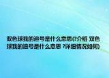 双色球我的追号是什么意思(?介绍 双色球我的追号是什么意思 ?详细情况如何)