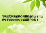 电子政务系统的核心和基础是什么（什么是电子政务的核心与基础简介介绍）
