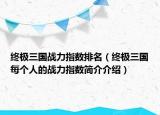 终极三国战力指数排名（终极三国每个人的战力指数简介介绍）