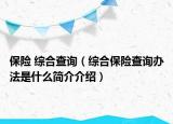 保险 综合查询（综合保险查询办法是什么简介介绍）