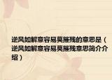 逆风如解意容易莫摧残的意思是（逆风如解意容易莫摧残意思简介介绍）